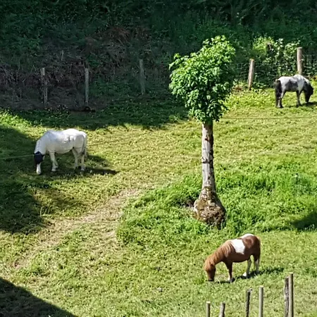 Gite Julie Appartement Aubin (Aveyron)