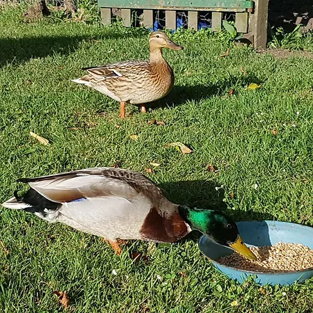 Gite Julie Aubin (Aveyron)