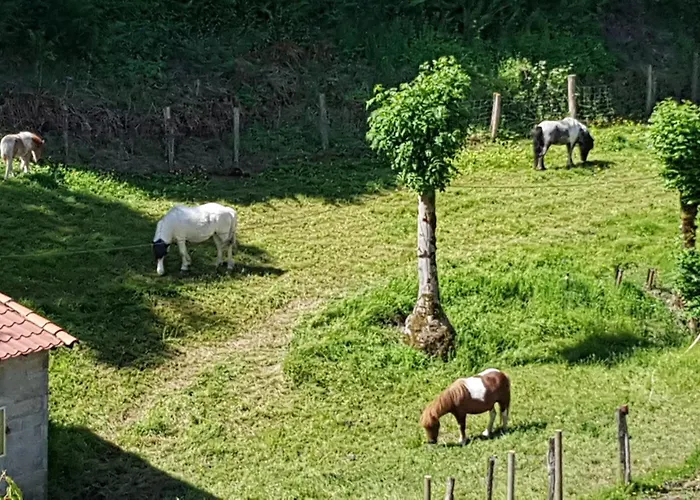 Julie Апартаменты Aubin (Aveyron)