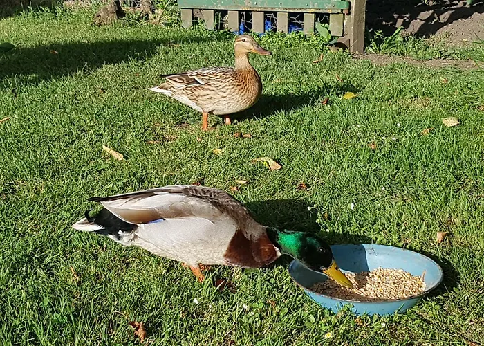 Julie Aubin (Aveyron)